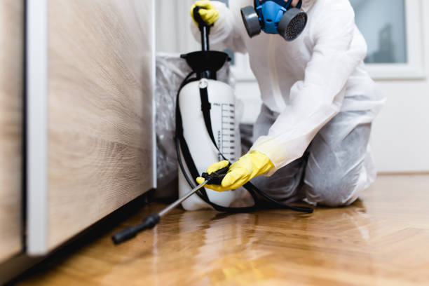Best Pest Prevention Services  in Nevada, MO