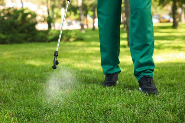 Best Termite Control Services  in Nevada, MO
