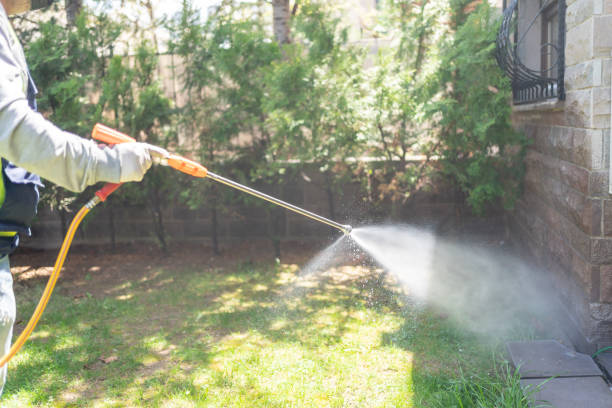 Best Best Pest Control Companies  in Nevada, MO