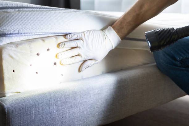 Professional Pest Control in Nevada, MO