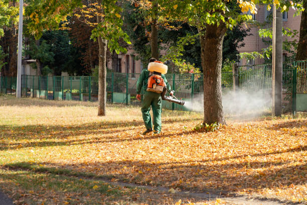Best Bed Bug Extermination  in Nevada, MO