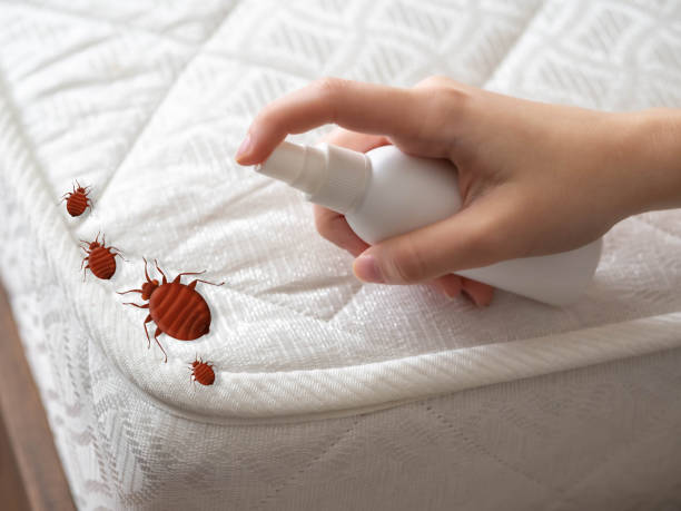 Best Affordable Pest Control Services  in Nevada, MO